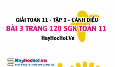 Giải bài 3 trang 120 Toán 11 tập 1 SGK Cánh Diều